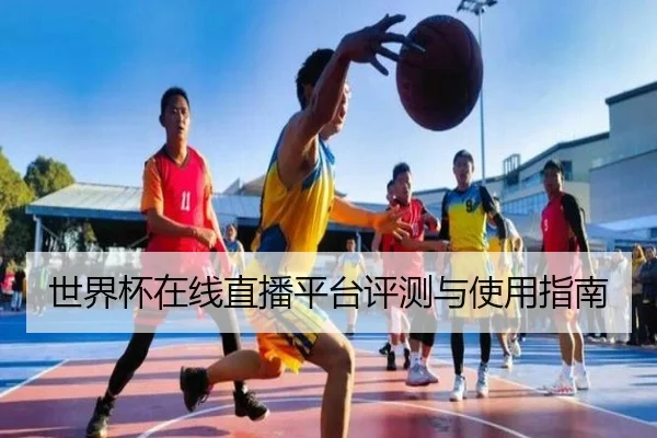 世界杯在线直播平台评测与使用指南